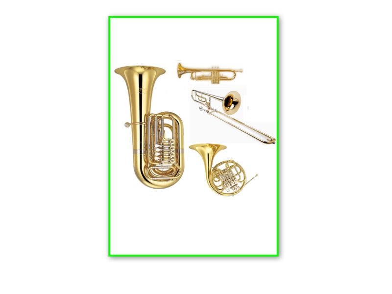 Metālpūšamo instrumentu ansamblis