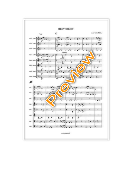 Silent night (8Hrn)