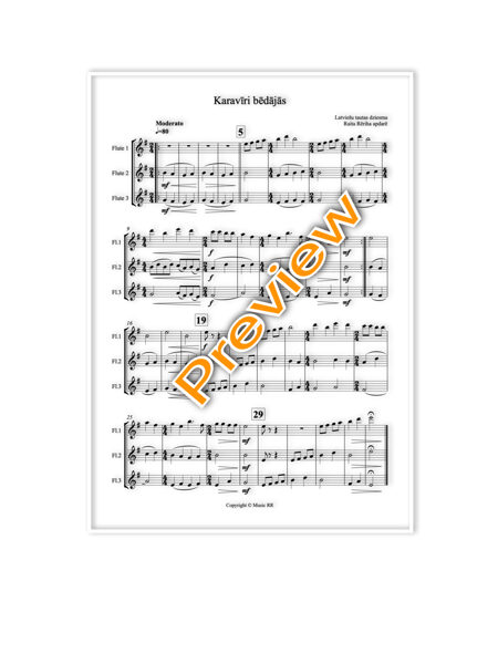 Karavīri bēdājās (Flautu trio)