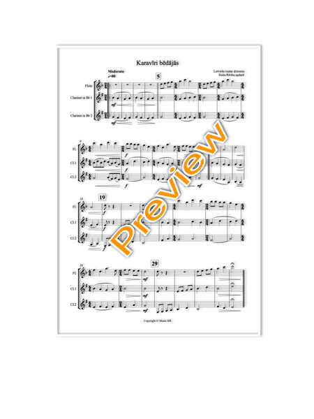 Karavīri bēdājās (Flautai un divām klarnetēm)